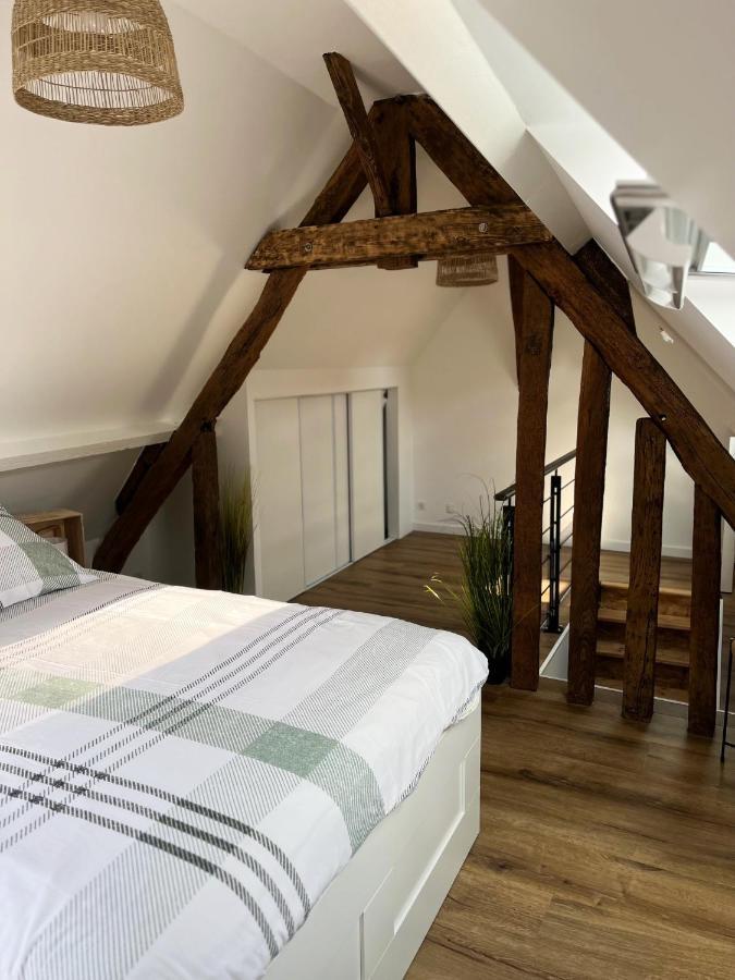 Le Duplex Apartamento Auxerre Exterior foto